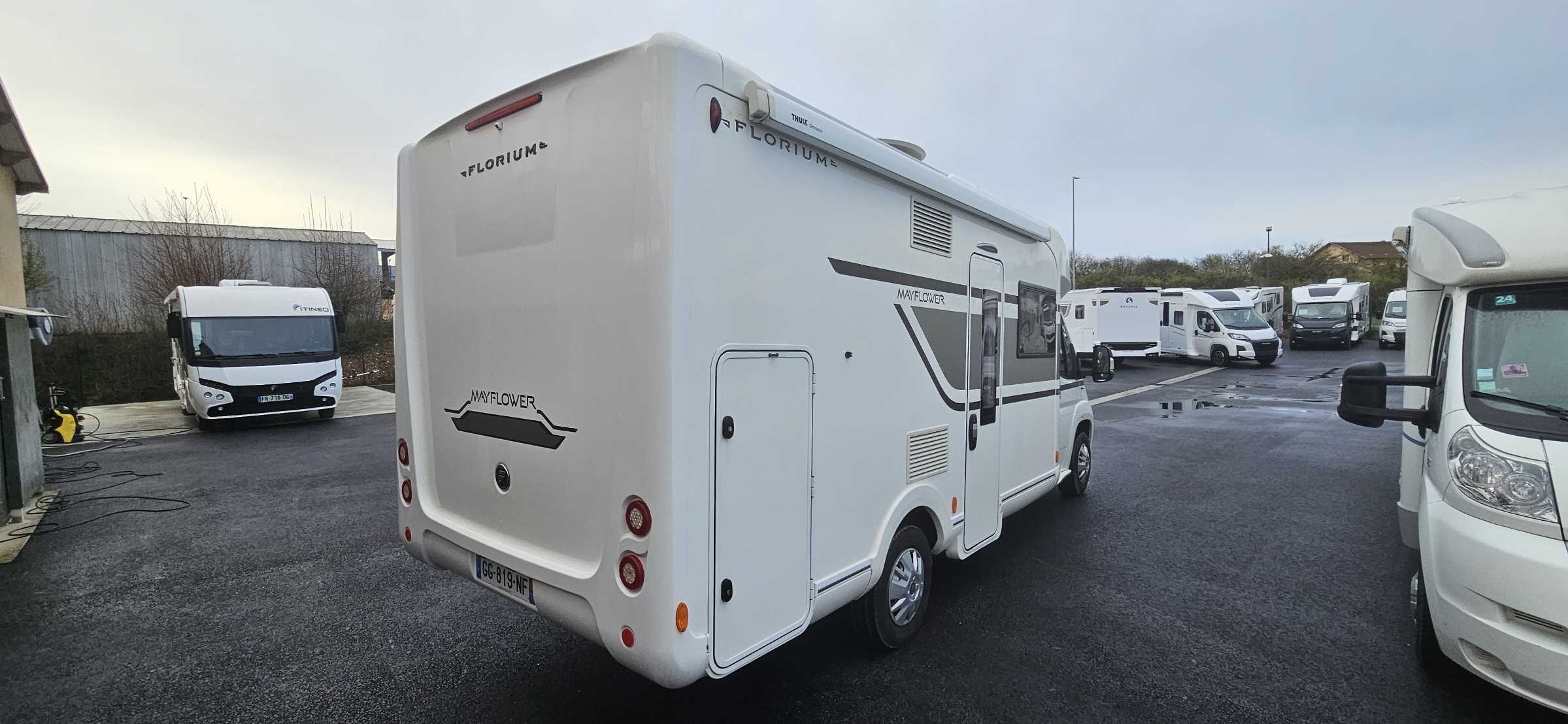  - 27 - FLORIUM MAYFLOWER 67 LO 